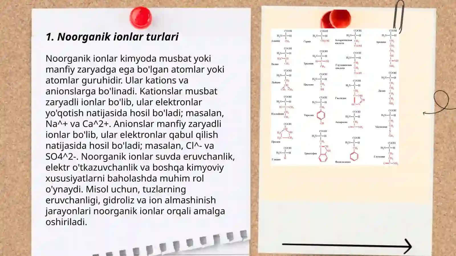 Noorganik ionlar, ularning funksiyalari 3