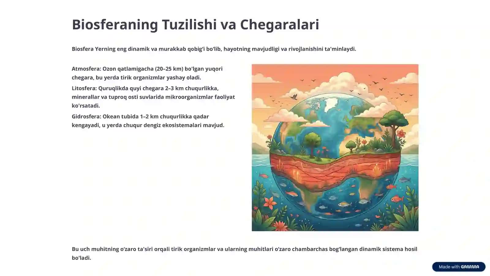 Biosfera ta'limoti xususiyatlari chegaralari 3