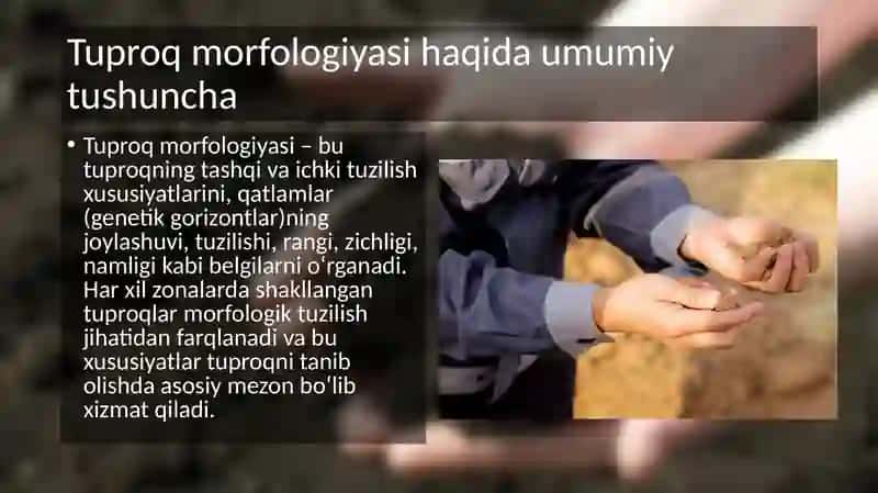 Tuproq morfologiyasi 3