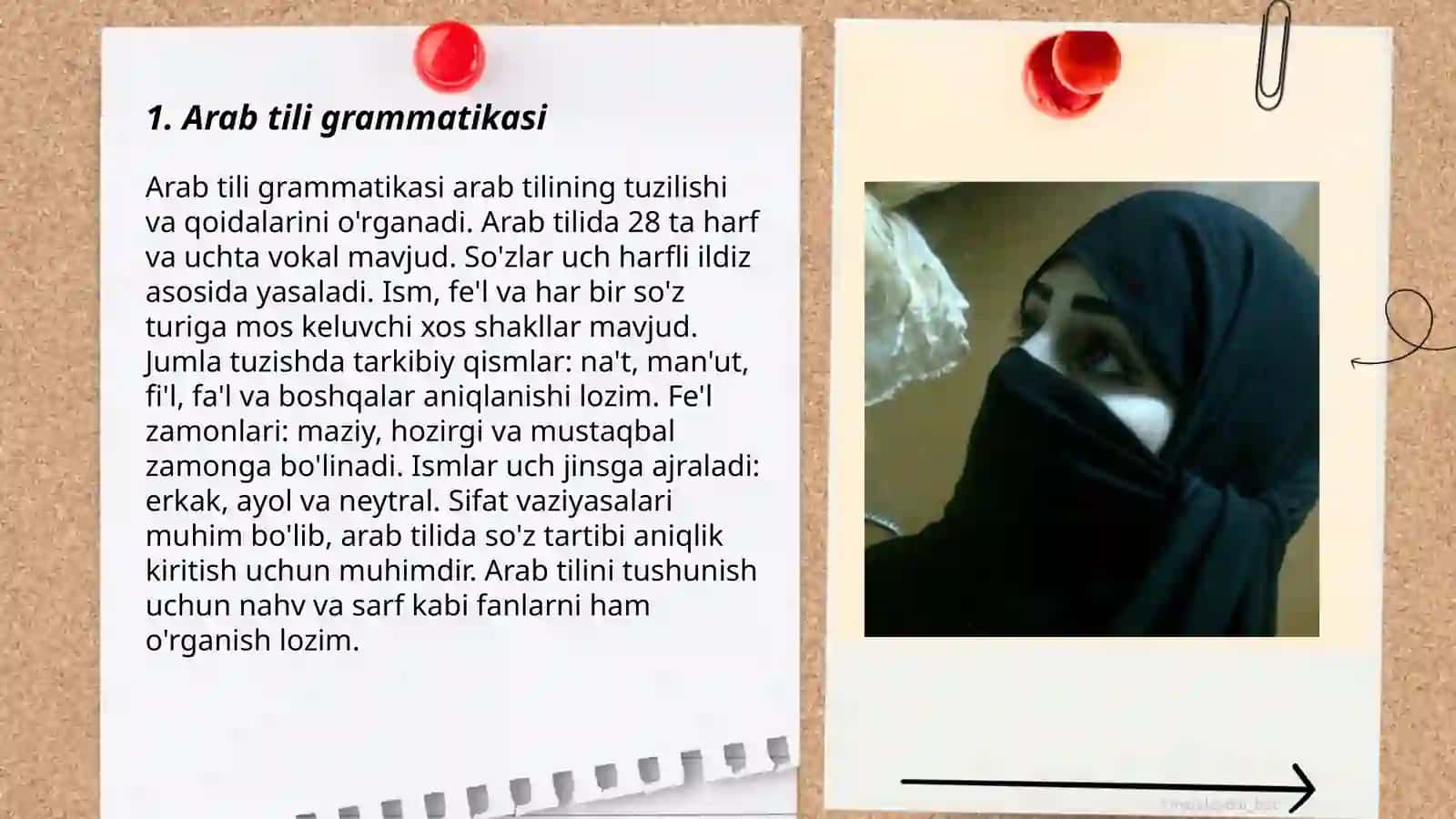 Arab tilshunosligi 3