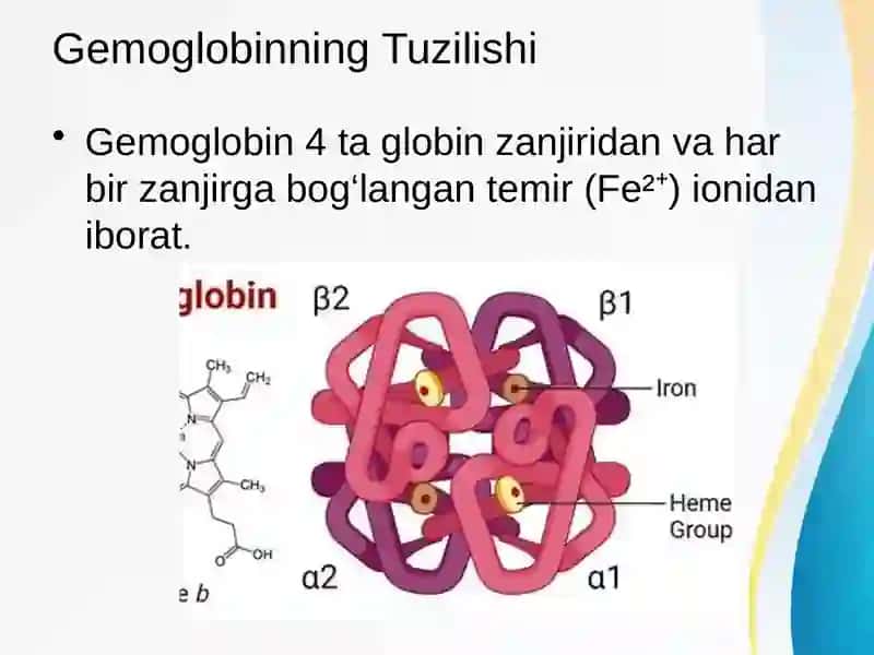 Gemoglobin 3