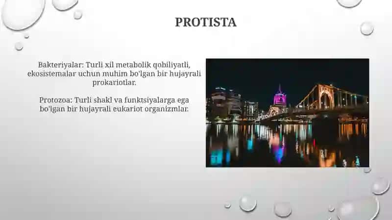 Mikroorganizmlar turli guruhlarining tavsifi 3