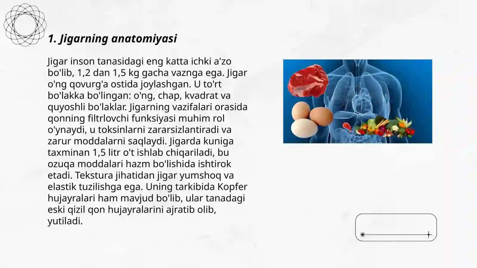 Jigar va uning funksiyasi 3