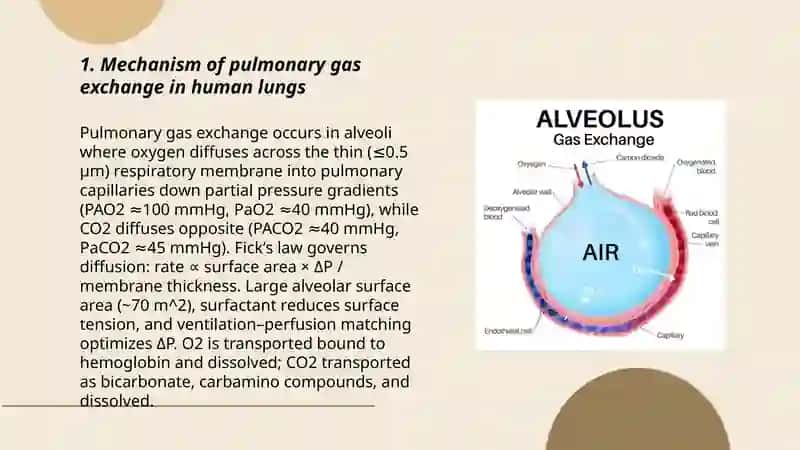 The exchange of gas 3