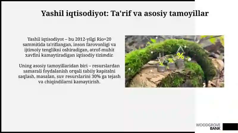 Yashil iqtisodiyot 3