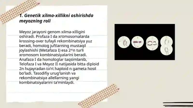 Meyozning biologik ahamiyati 3