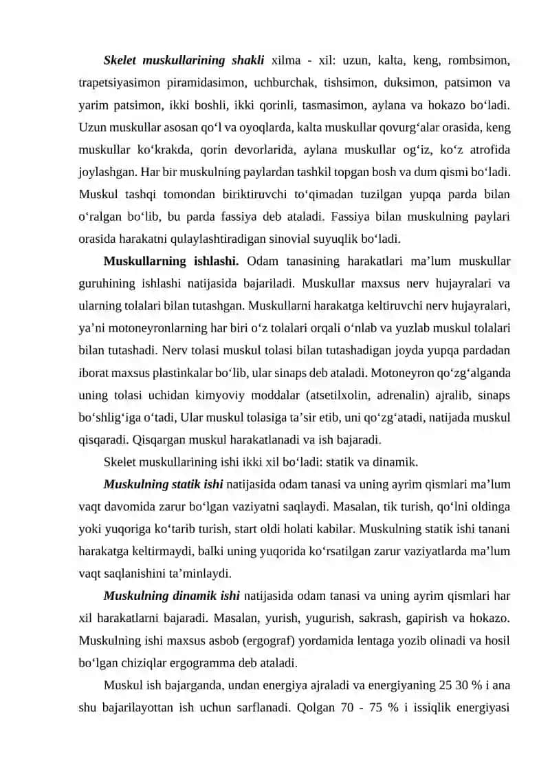 Muskullarning tuzilishi, shakllari, nomlanishi 3