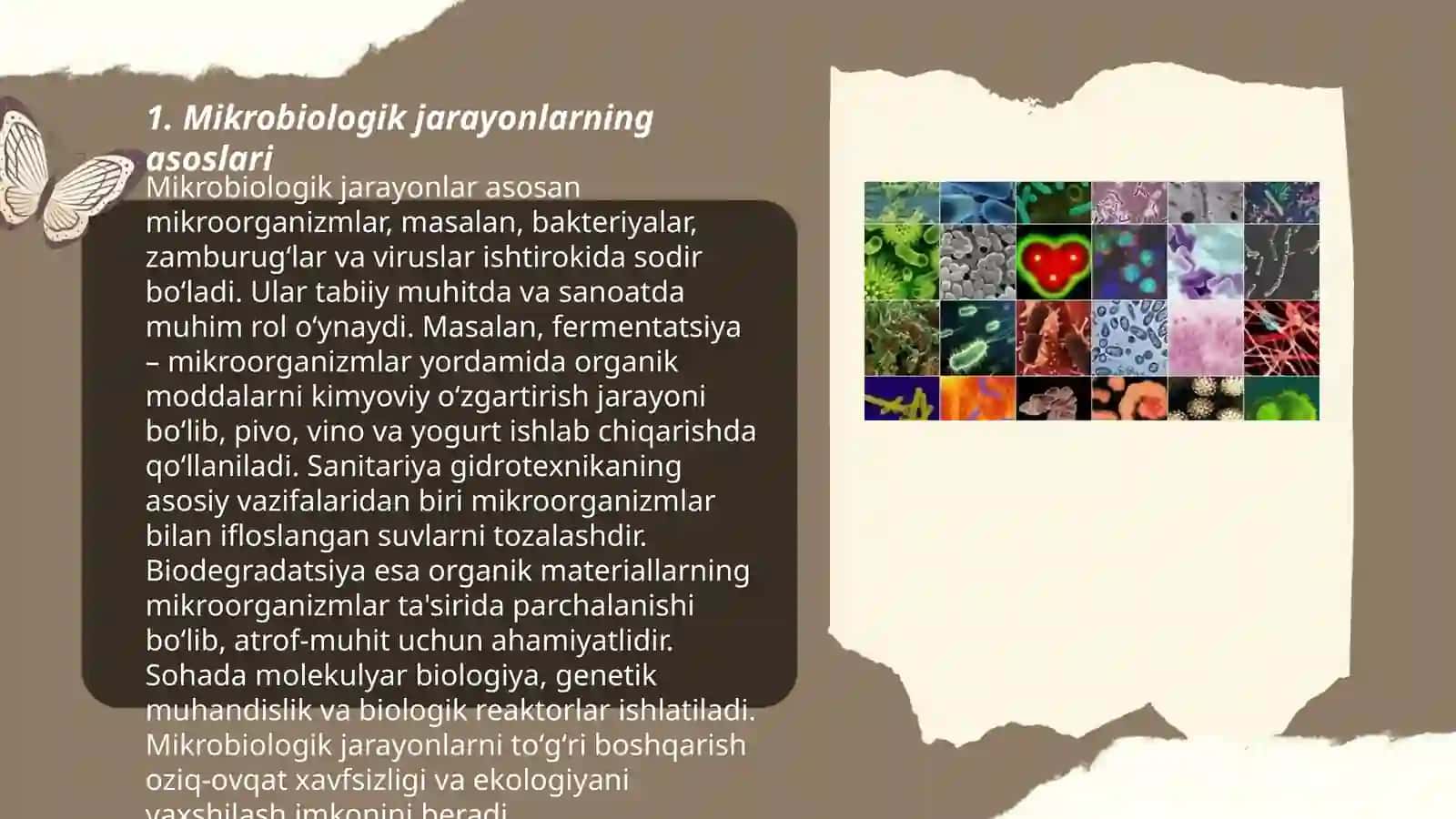 Mikroorganizmlar biotexnologiyasi 3