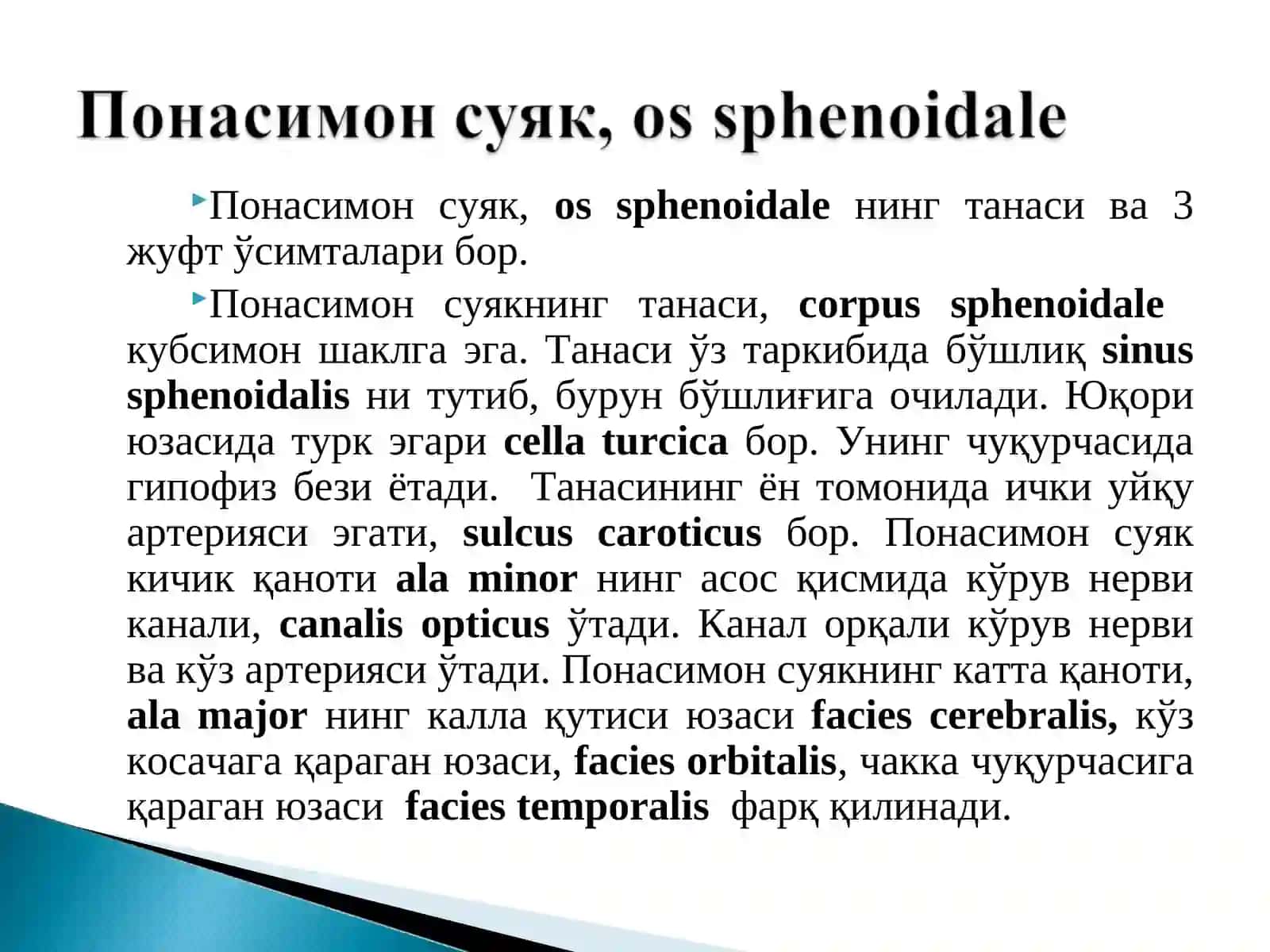 Т Тиббий фундаментал фанлар 3