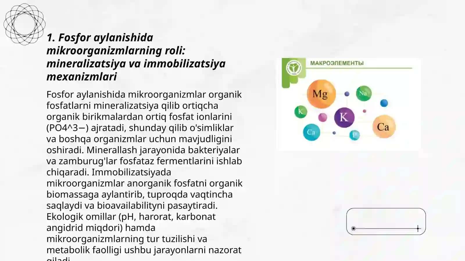 Fosfor, uglerod, azot va oltingugurt aylanishida mikroorganizmlarni ahamiyatini kengroq oʻrganish 3