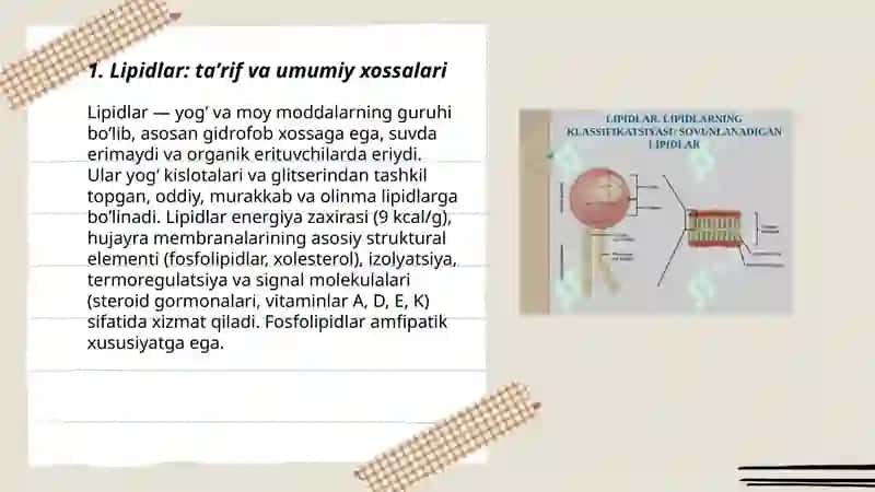 Lipidlar 3