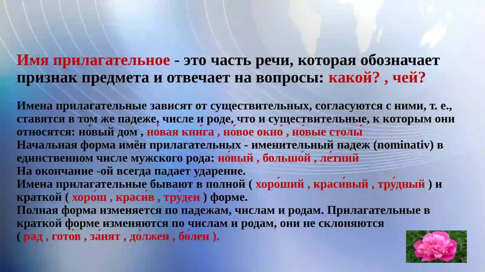 Имя прилагательное 3