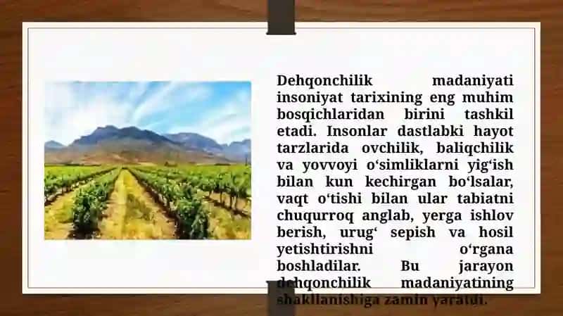 Dehqonchilik madaniyati va shakllanish taraqqiyoti (TAQDIMOT) 3