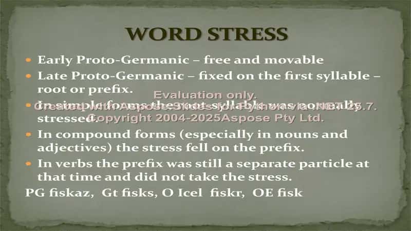 Linguistic features of Germanic languages 3