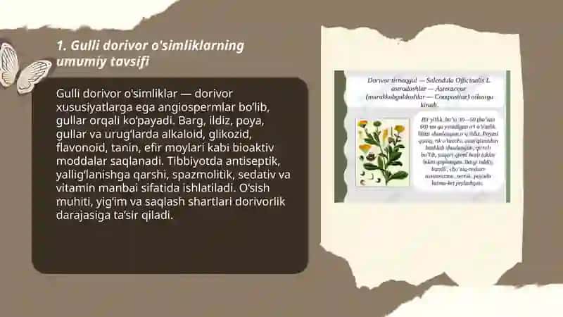 Gulli dorivor o'simliklar 3