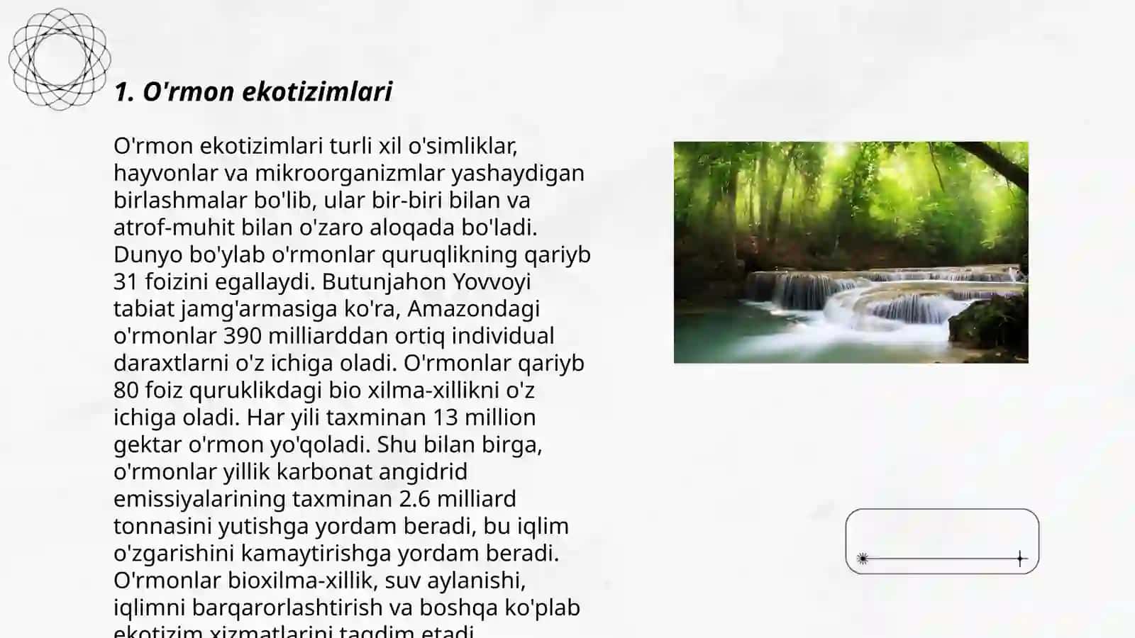 O'rmon ekotizimlari 3