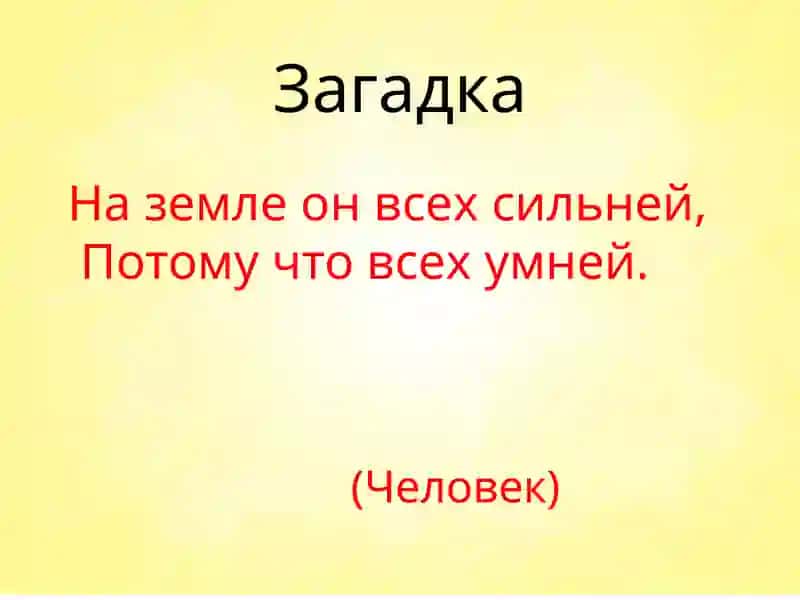 Части тела человека 3