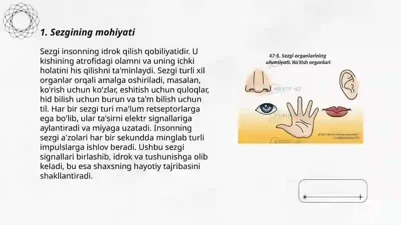 Sezgi va uning turlari 3
