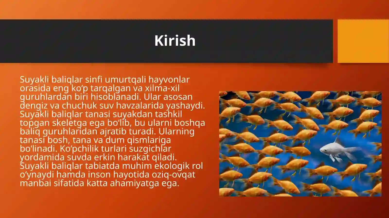 Suyakli baliqlar sinfi. 3