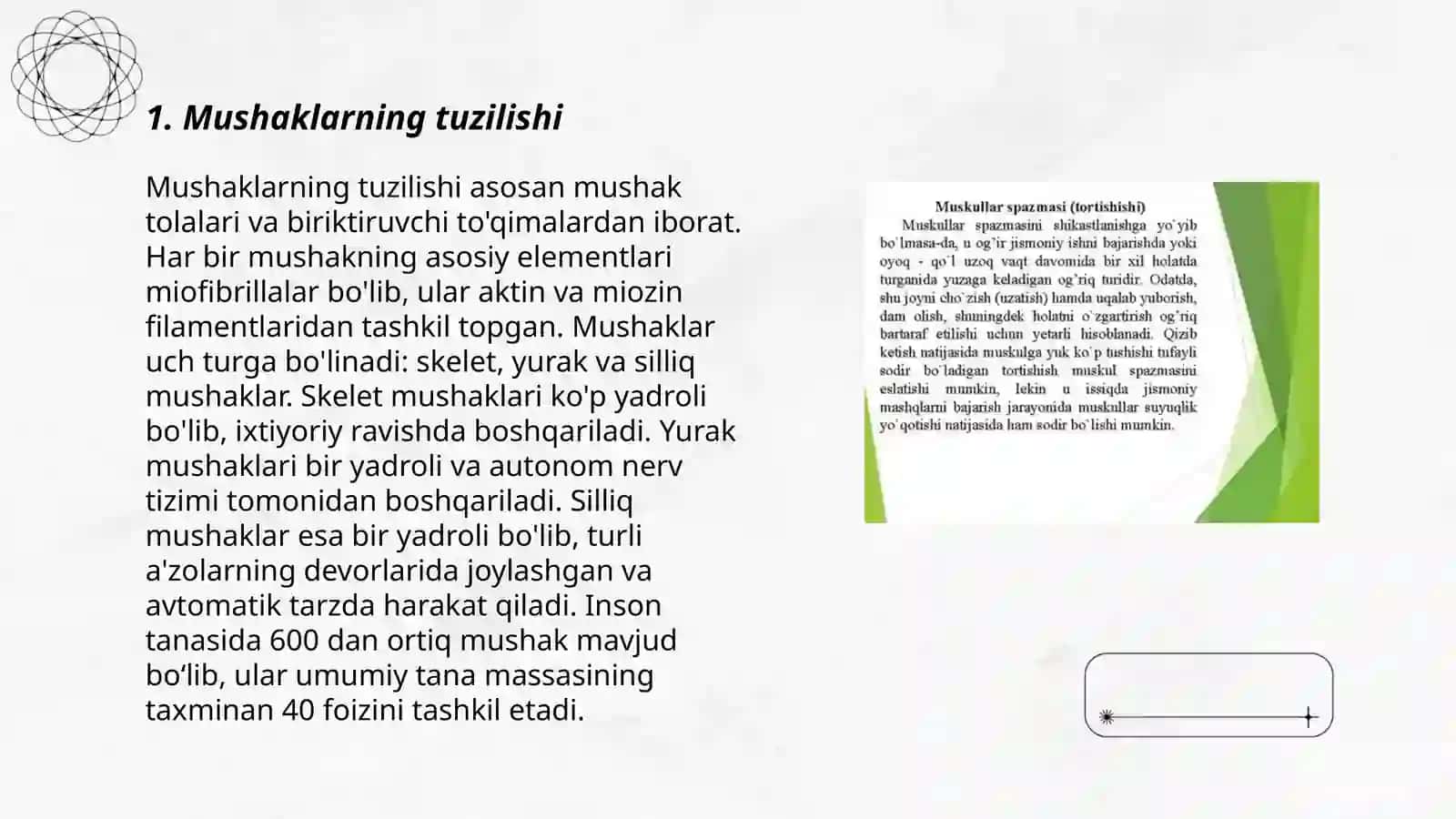 Muskullar togrisida umumiy tushuncha 3