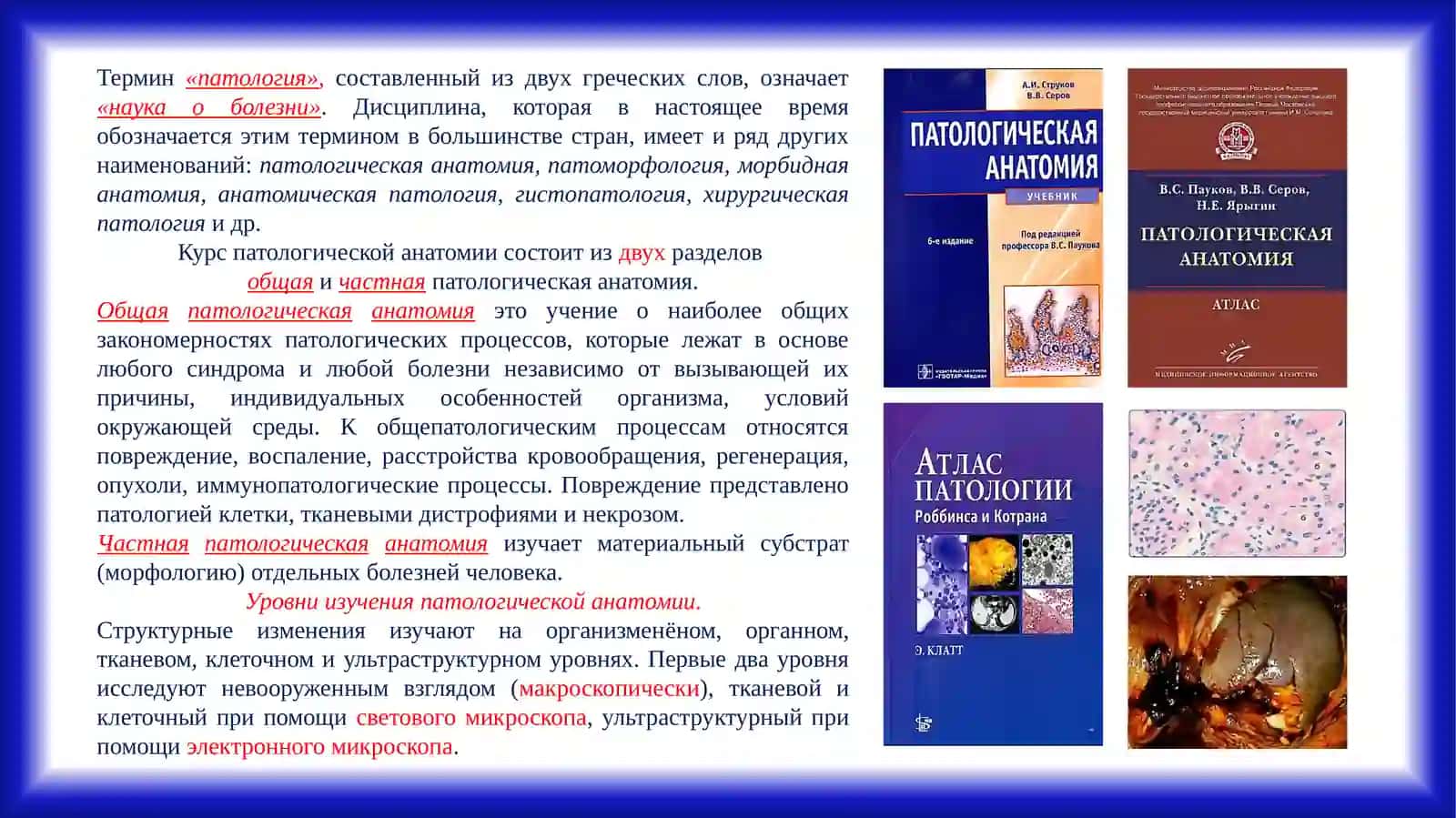 Микропрепарат 3