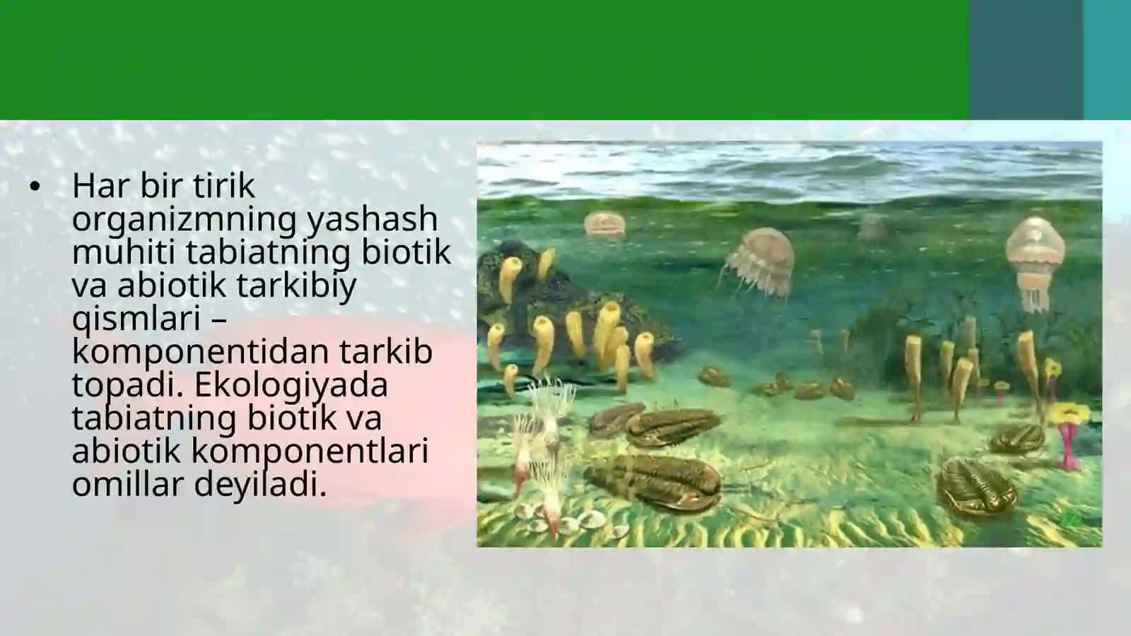 Organizmlarning yashash muhitiga suv muhitiga 3