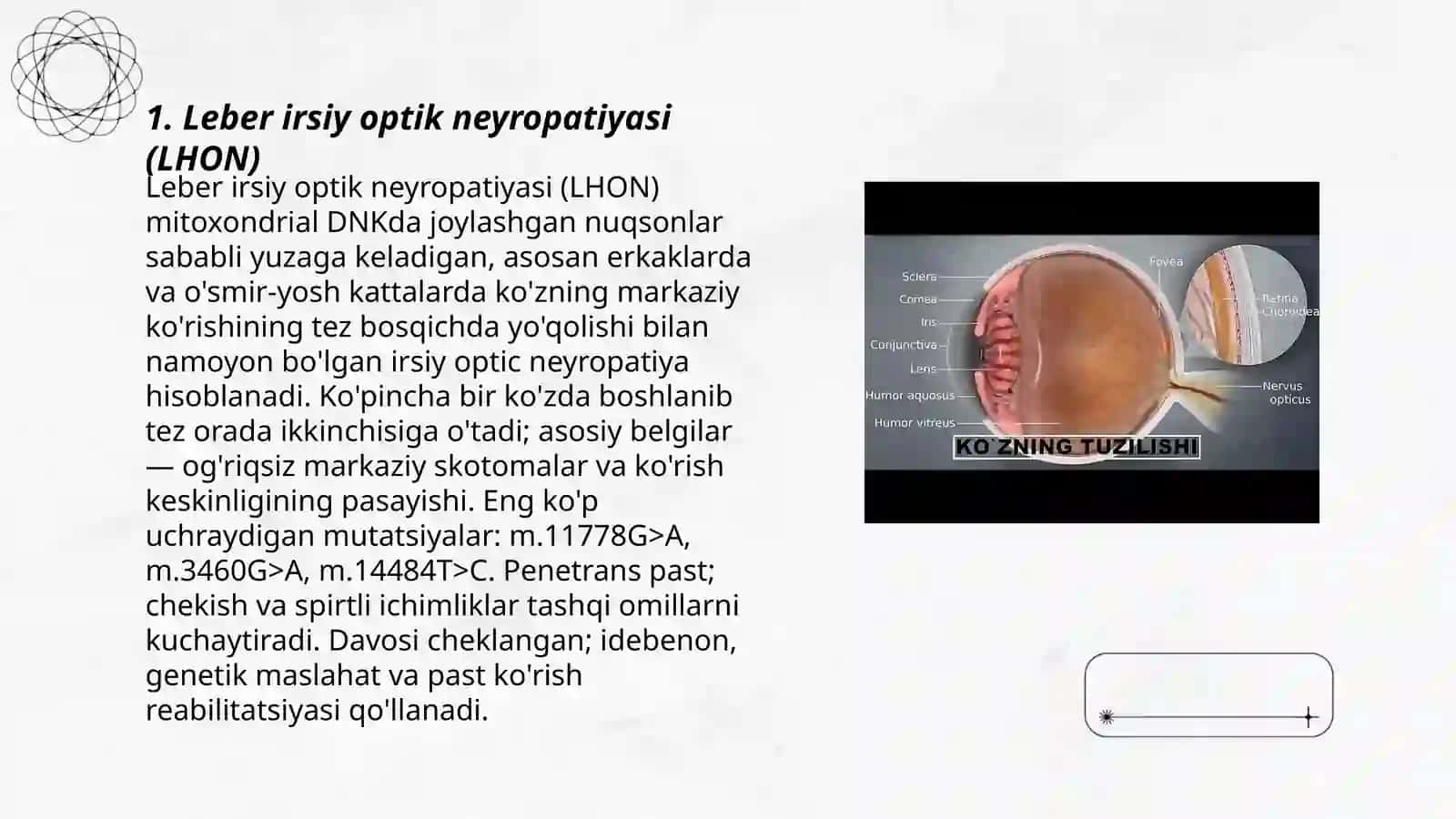 Ko'ruv nervi nasliy kasalliklari 3