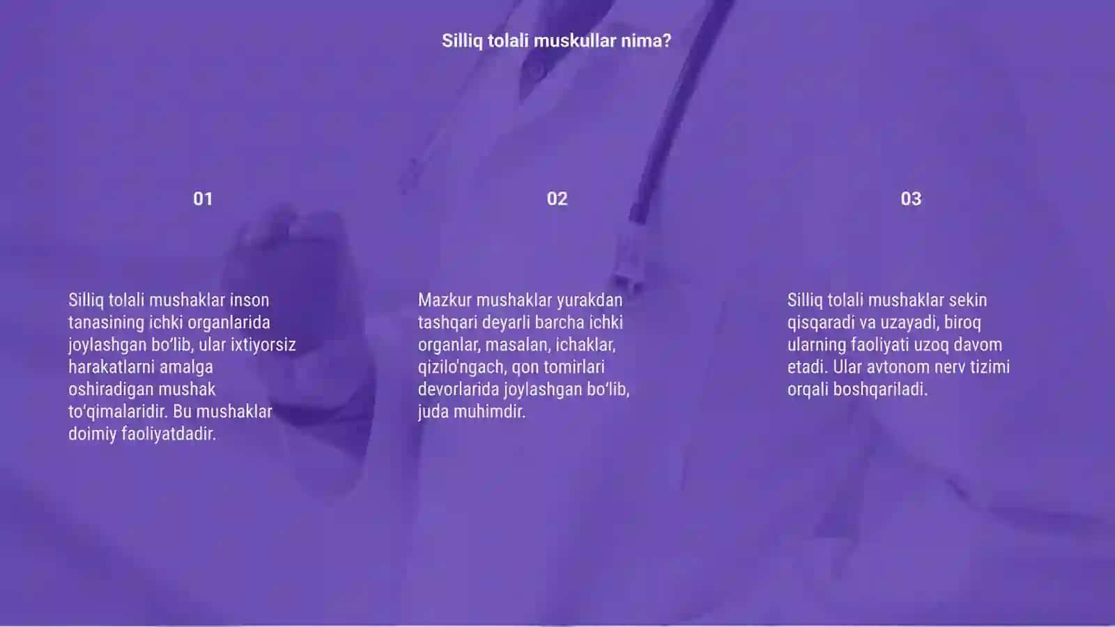 Silliq tolali muskul 3