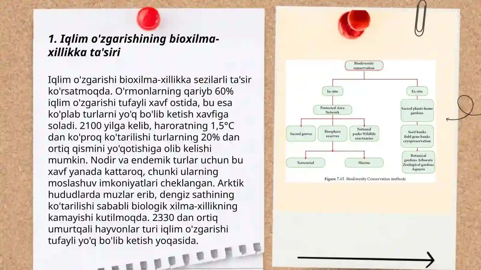 Omillarni bioxilma xillikka ta'siri 3