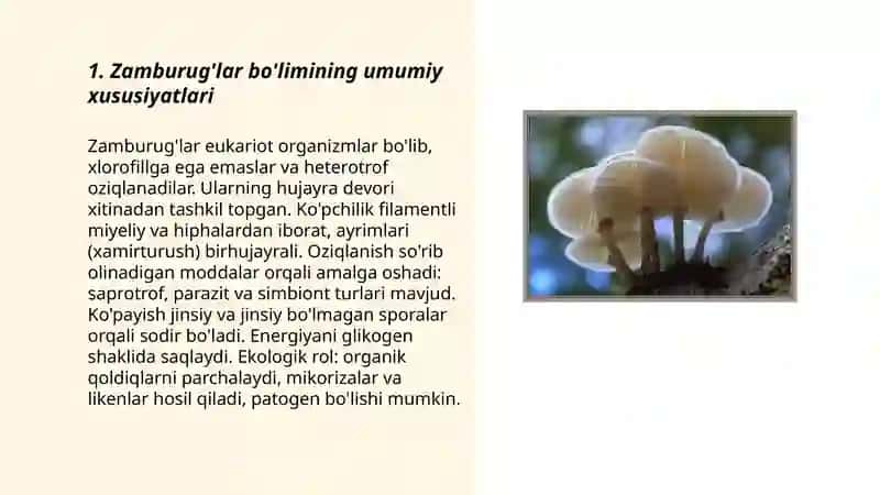 Zamburug'lar bo'limi 3