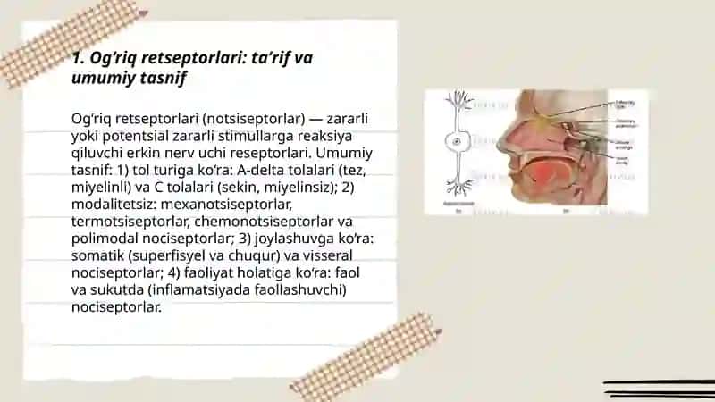 Og‘riq retseptorlari 3