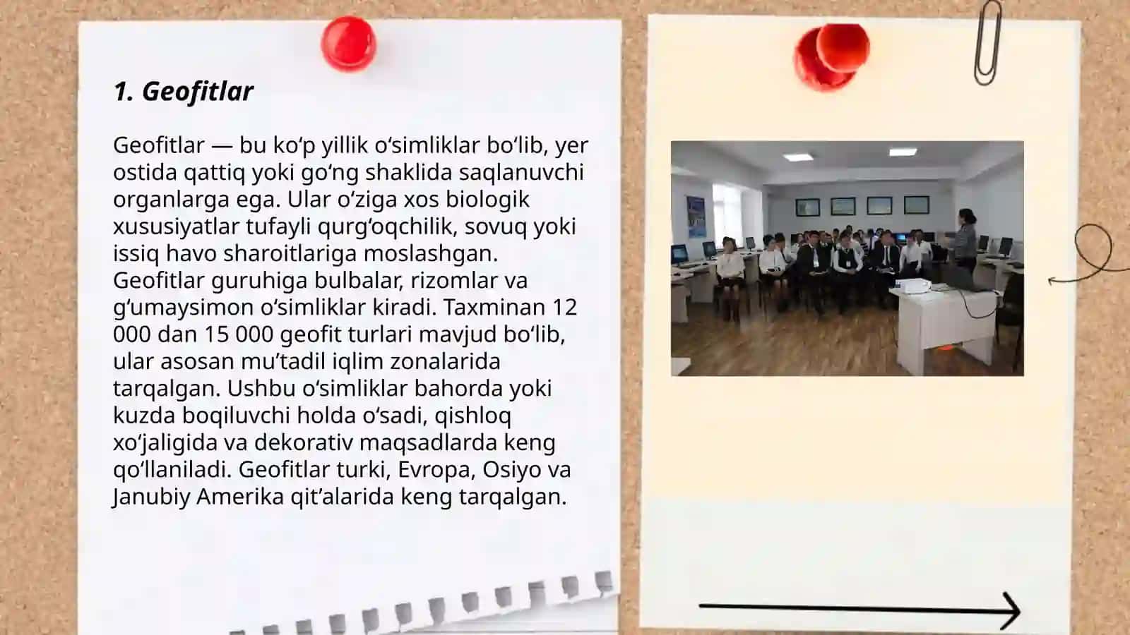 Oʻsimliklarni ekologik guruhlari 3