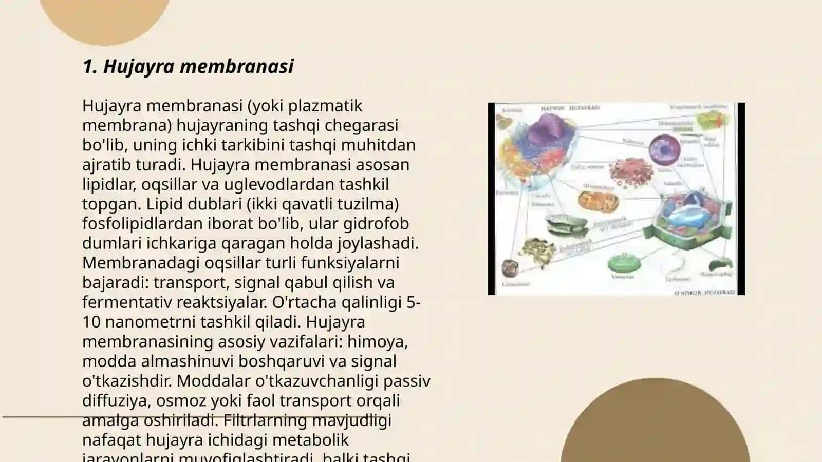 Hujayra membranasi 3