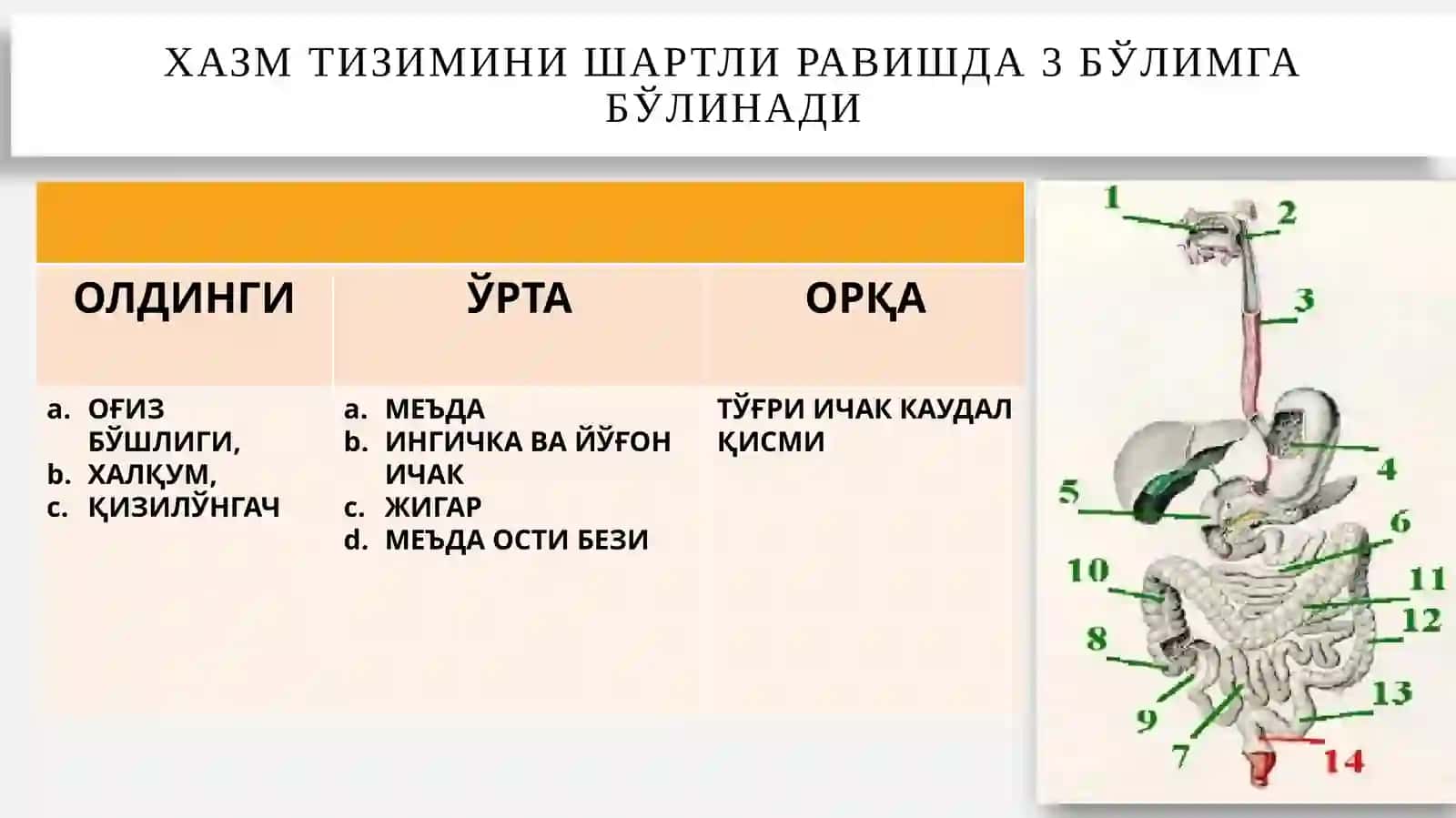 Хазмтизими 3