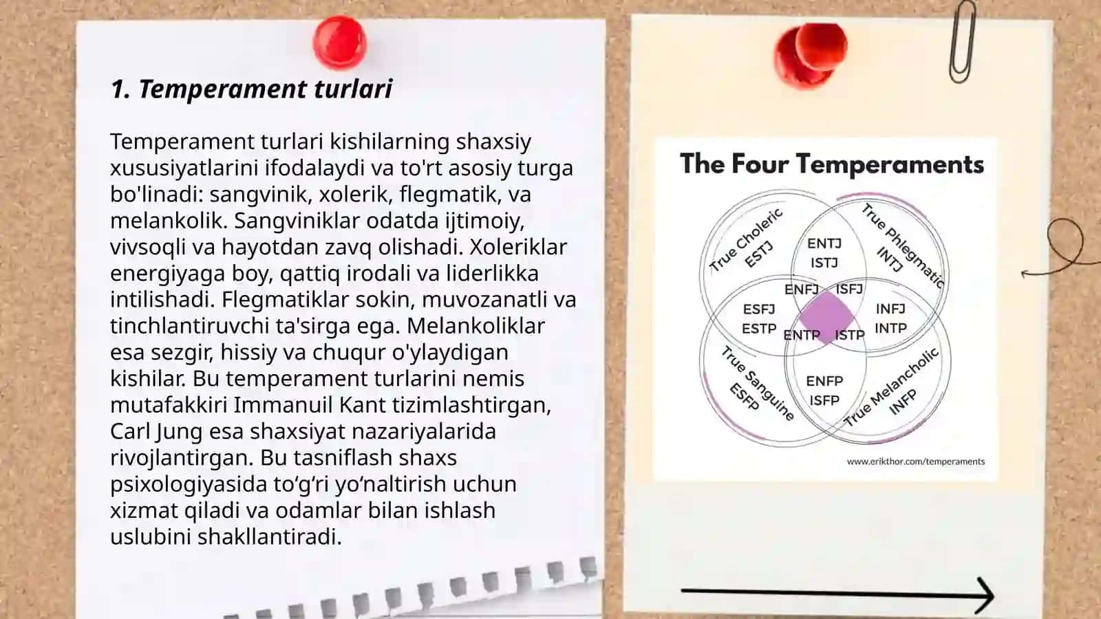 Temperament turlari 3