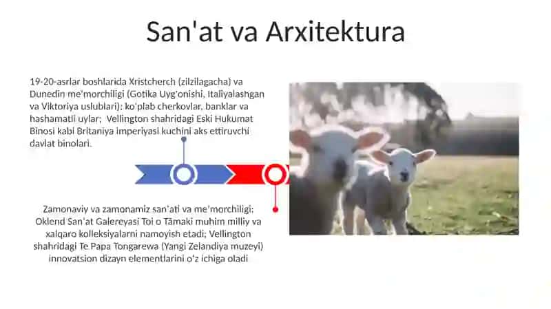 Yangi Zelandiya davlati 3