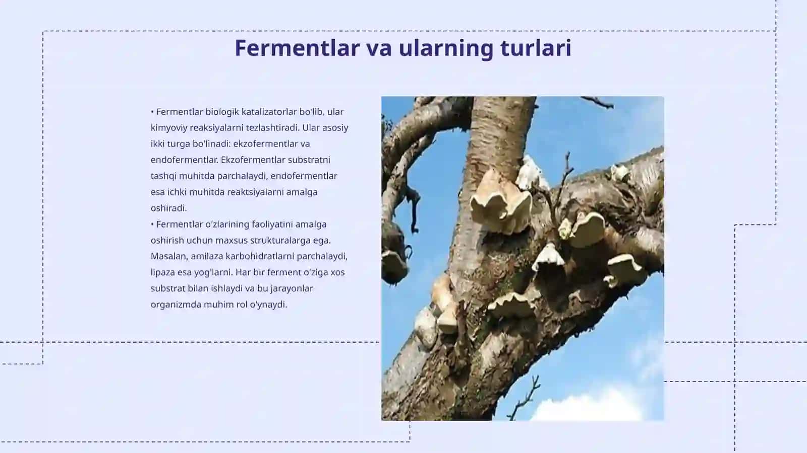 Fermentlar faolligini boshqarish 3