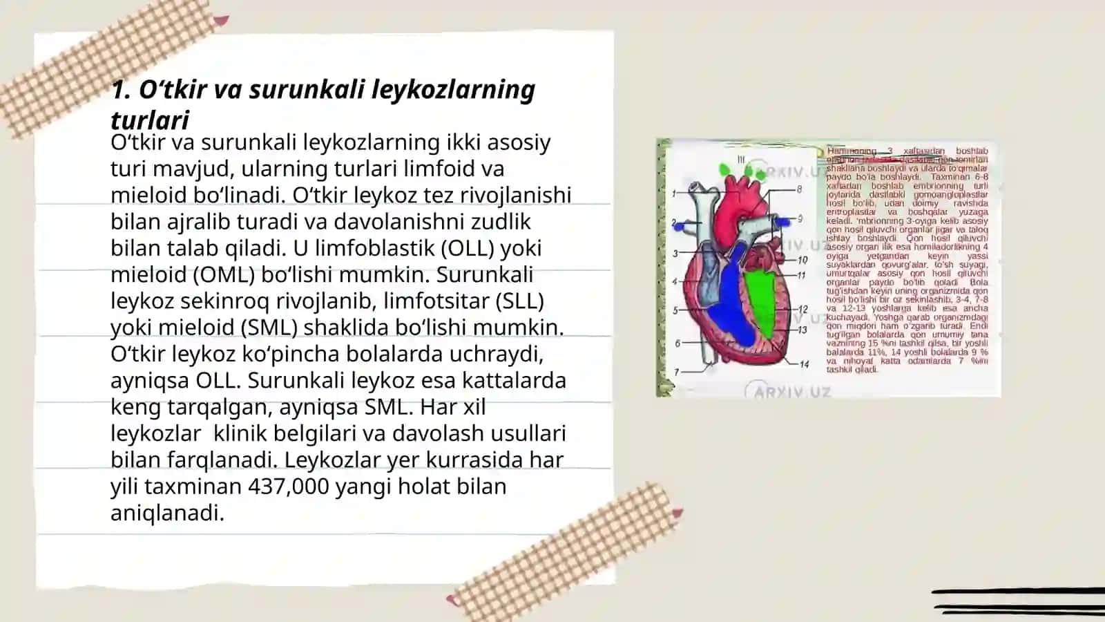 Oʻtkir va Surunkali Leykozlar 3