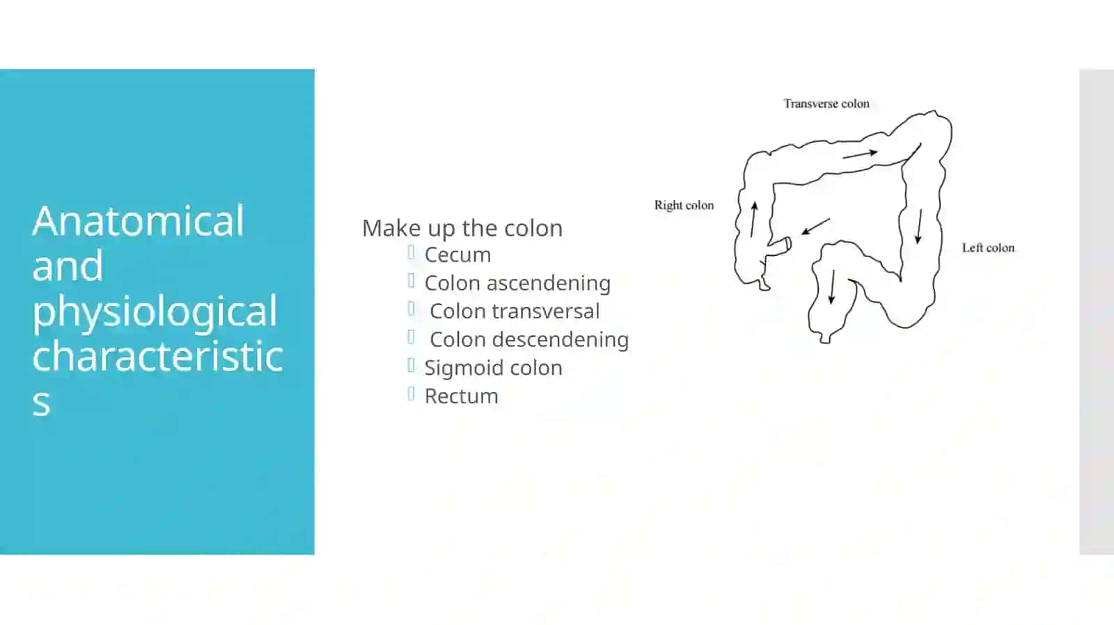 Colorectal Drug Delivery 3