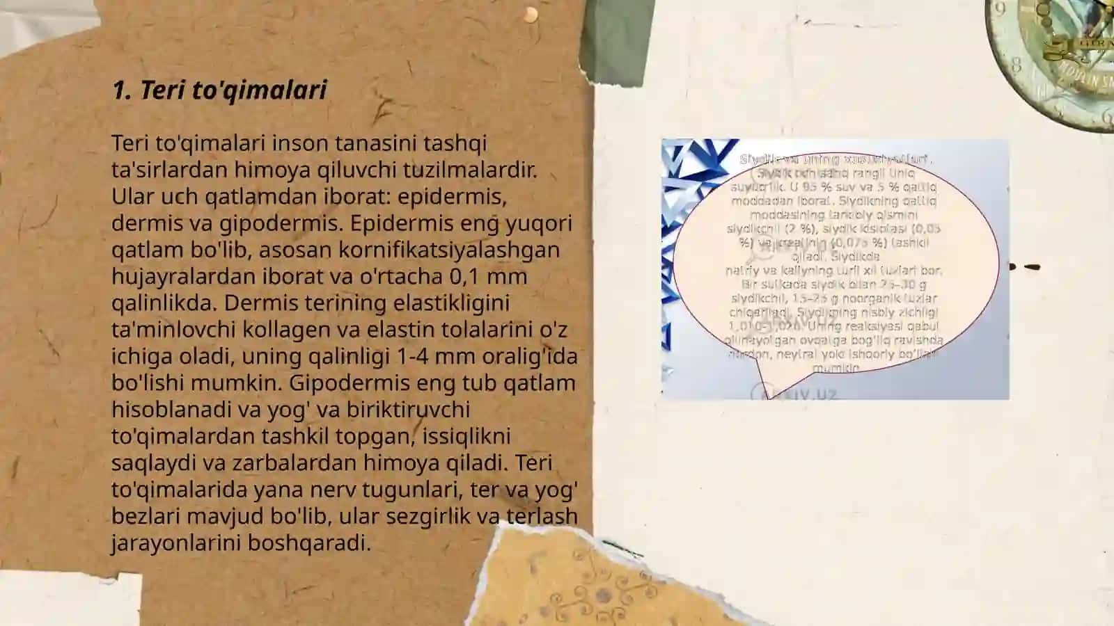 Teri toshmalari 3