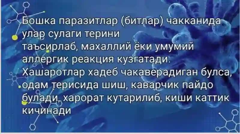 Zoonozlar, leyshmanioz, qo'tir va bitlash 3