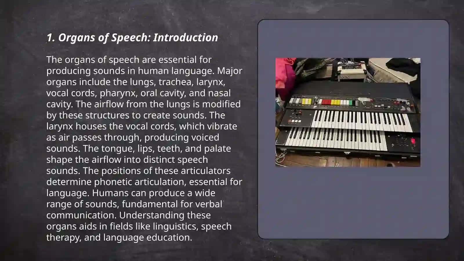 Sound formation: organs of speech 3