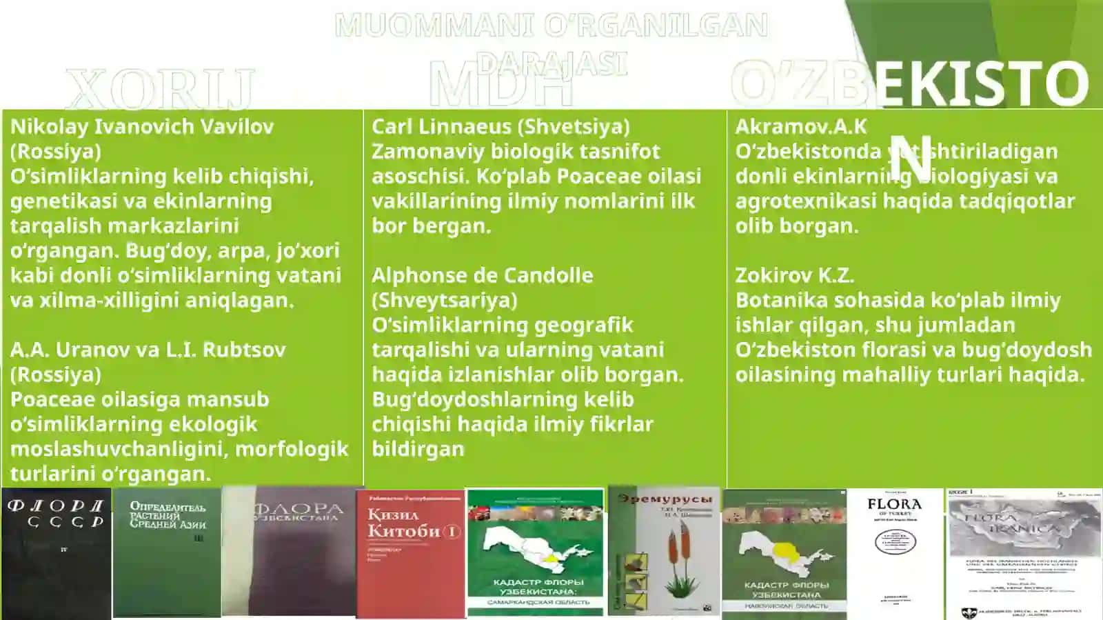 BUG’DOYDOSHLAR OILASINING UMUMIY TA’RIFI,VAKILLARI,TUZILISH XUSUSIYATLARI VA AHAMIYATI 3