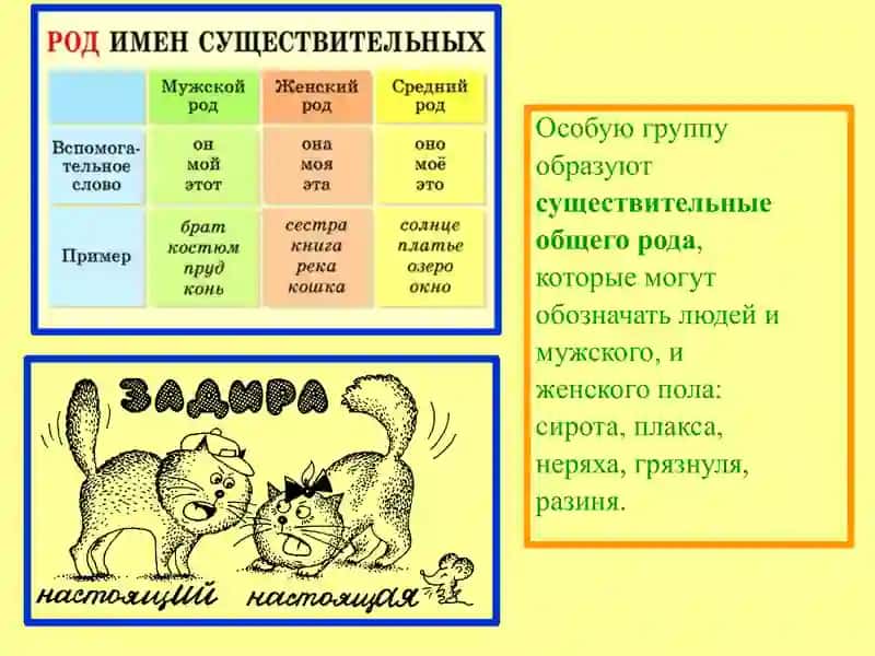 Имя существительное 3