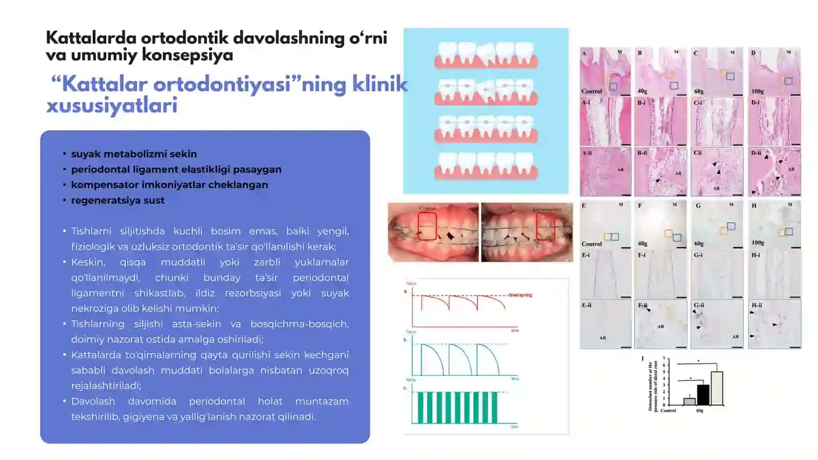 Ortodontik Stomatologiya 3