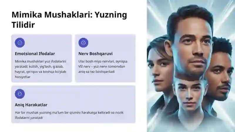 Bosh Mushaklari: Mimika Mushaklari 3