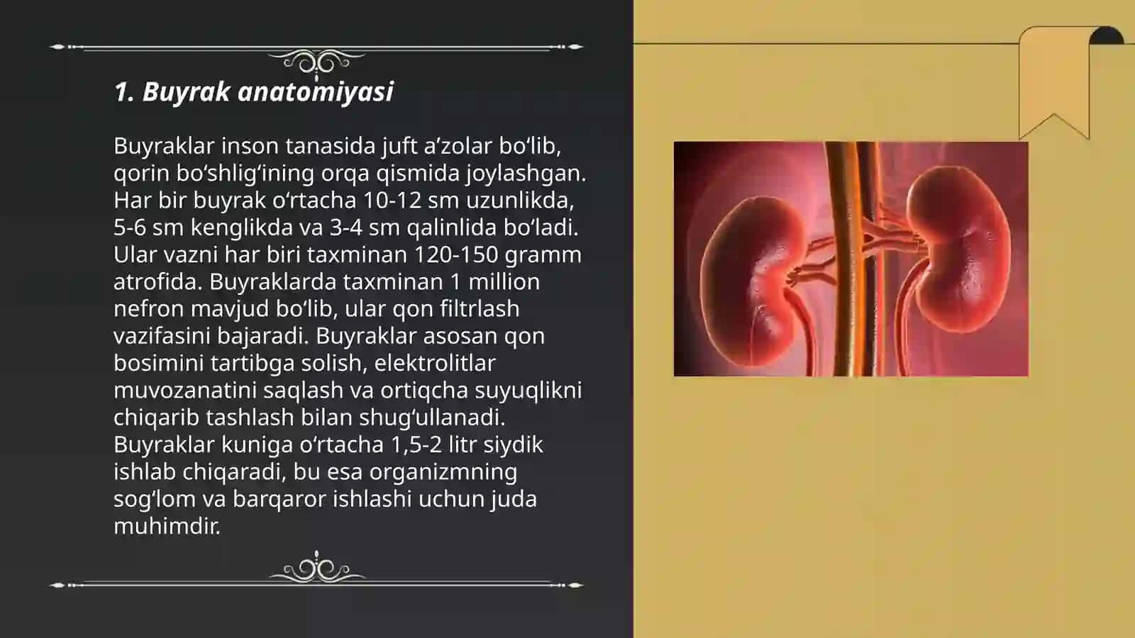Buyrak 3