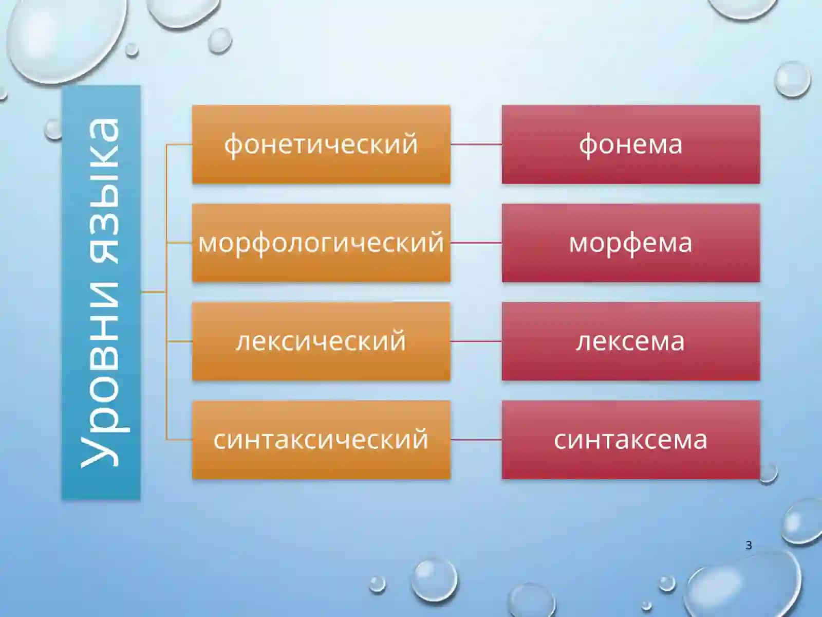 Слово как центральная единица лексической системы 3