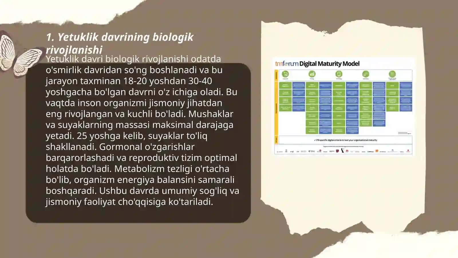 Yetuklik davrining bosqichlari 3