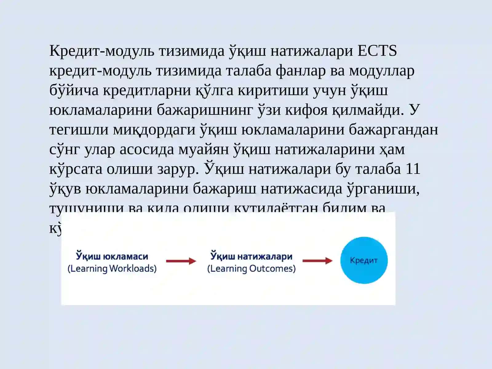 Таълимдастури тузилмаси 3